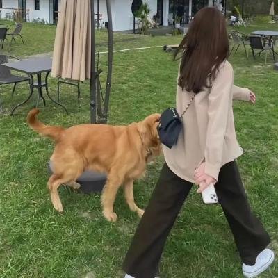 禁忌的游戏