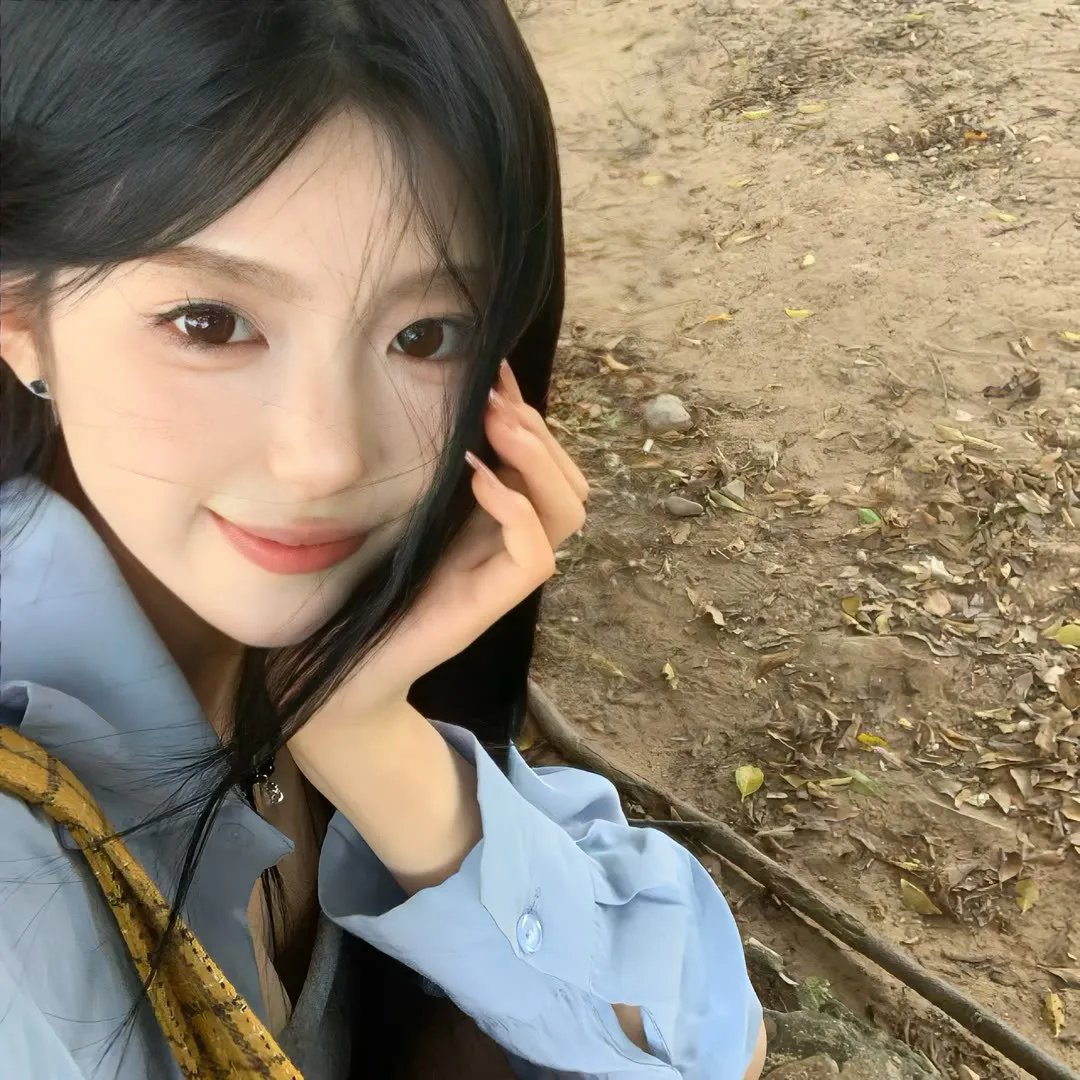 海豚的哭泣